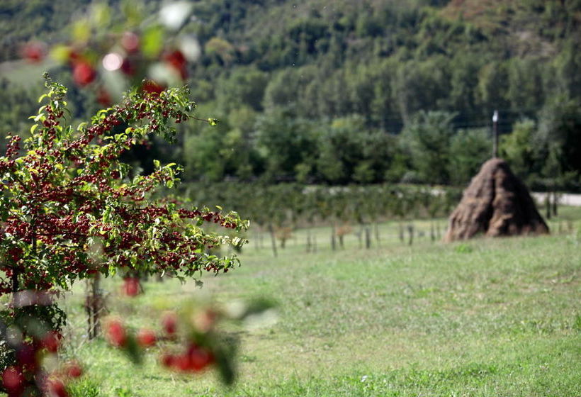 住宿加早餐 Locanda Dei Cinque Cerri