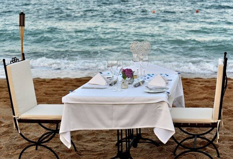 Grifid Metropol Hotel   Premium All Inclusive & Private Beach   Adults Only