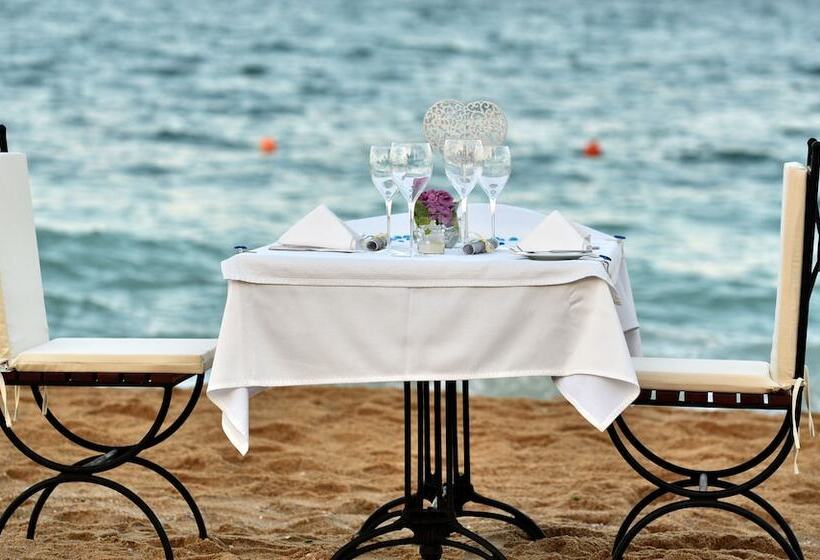 Grifid Metropol Hotel   Premium All Inclusive & Private Beach   Adults Only