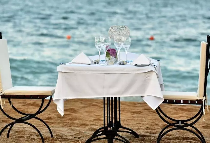 Grifid Metropol Hotel   Premium All Inclusive & Private Beach   Adults Only
