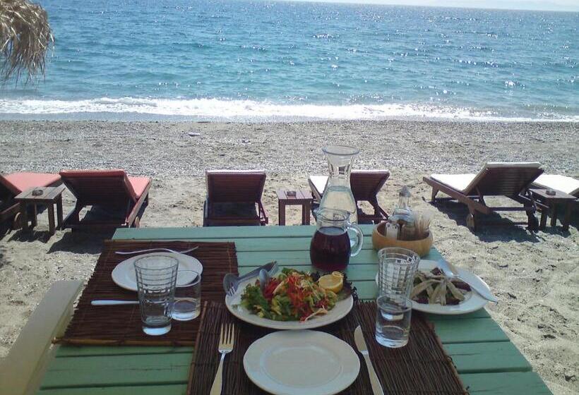 Отель Alexandrion