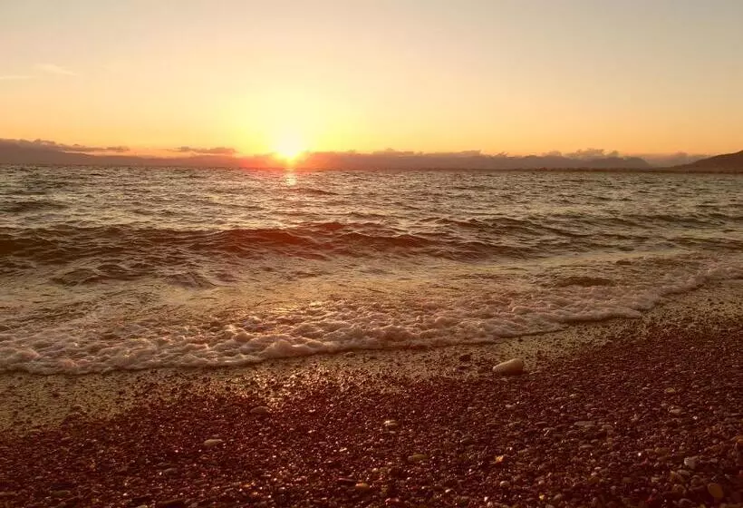 בית מלון כפרי Alexandrion