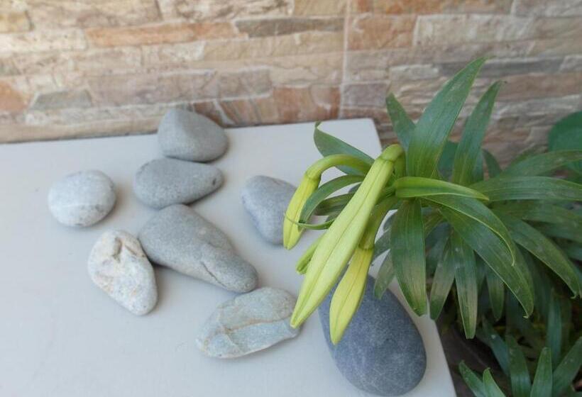 Отель Alexandrion