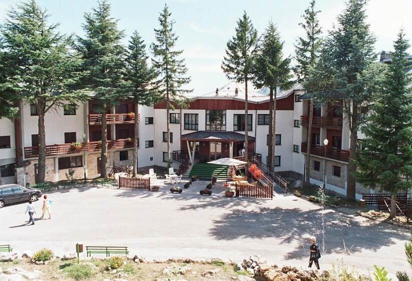 Отель Cipriani Park