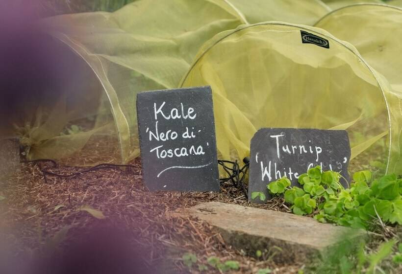 فندق Grays Court