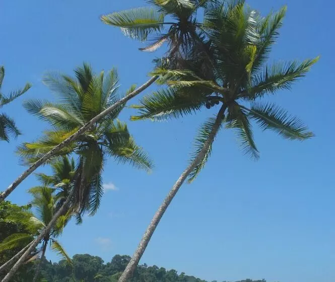 هتل Jinetes De Osa