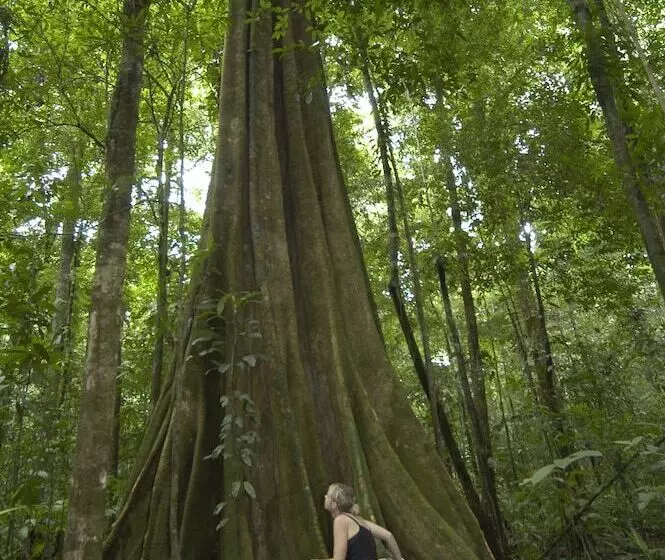 هتل Jinetes De Osa