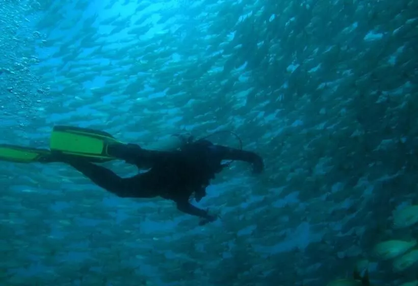 هتل Jinetes De Osa