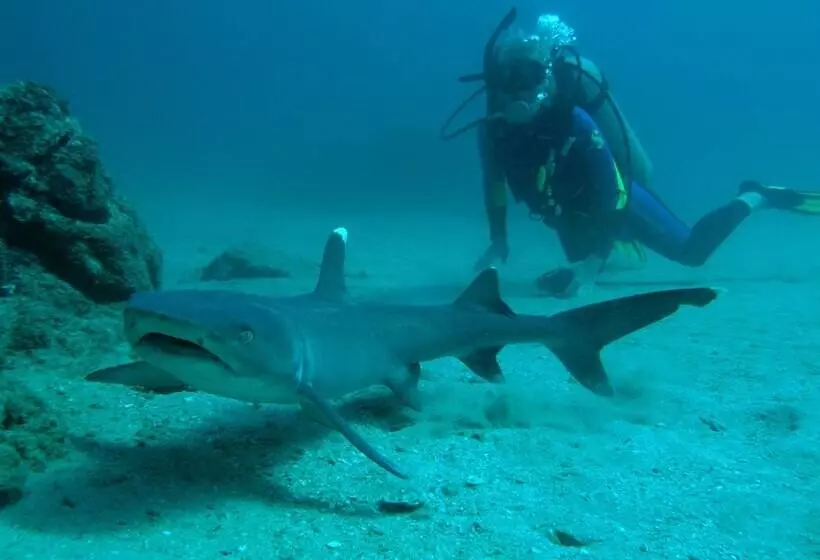 هتل Jinetes De Osa