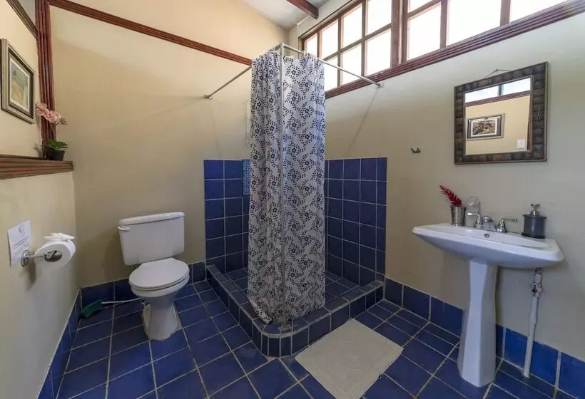 هتل Jinetes De Osa