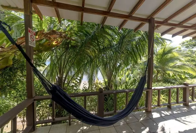 هتل Jinetes De Osa