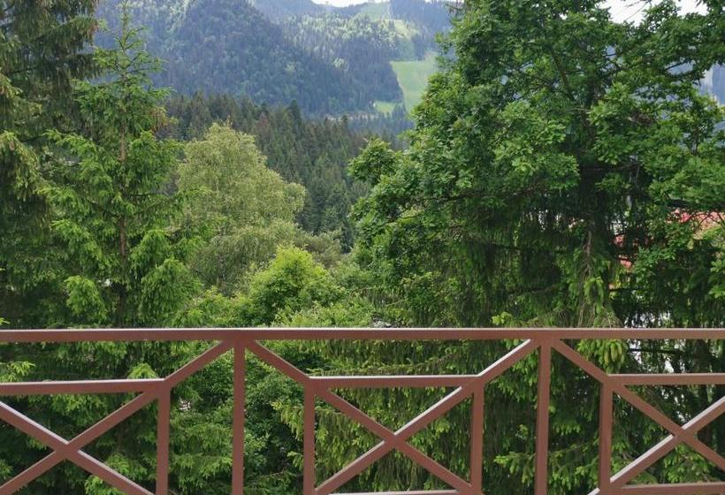 호텔 Pension Condor