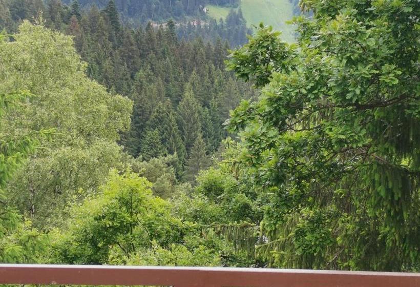 호텔 Pension Condor