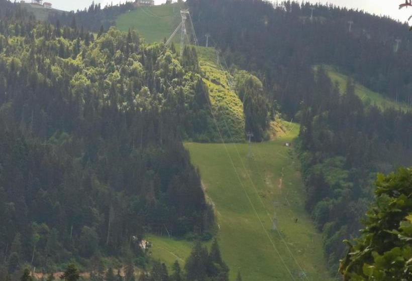 호텔 Pension Condor