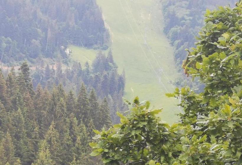 호텔 Pension Condor