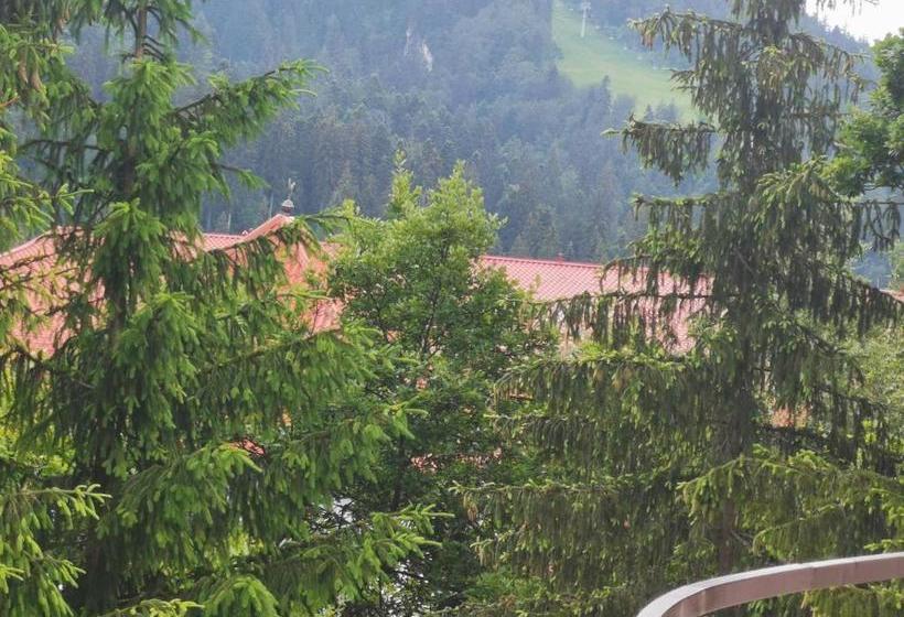 호텔 Pension Condor