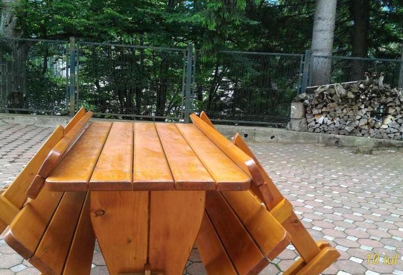 호텔 Pension Condor