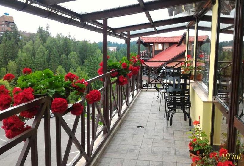 호텔 Pension Condor