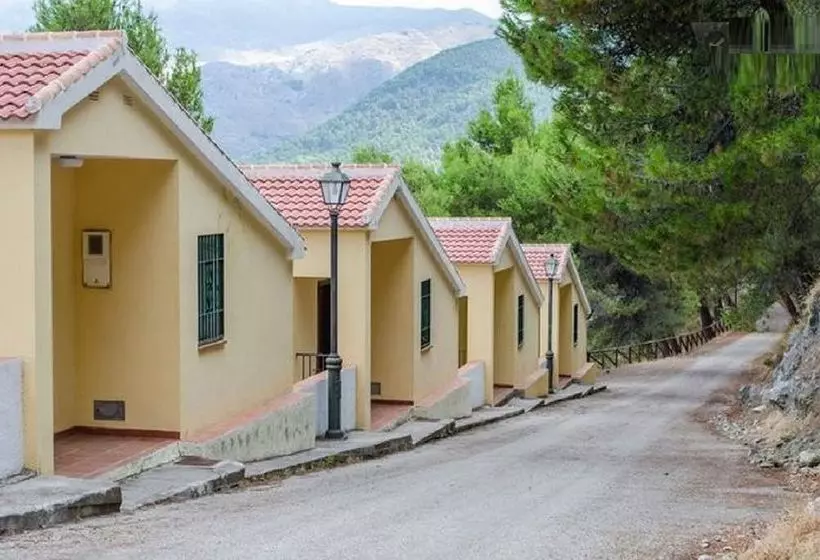 田舎風ホテル Cortijo Del Alcazar