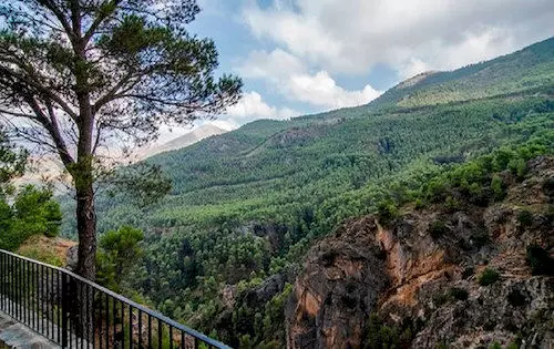 田舎風ホテル Cortijo Del Alcazar