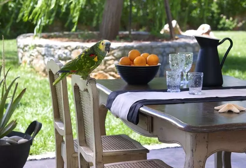 Sunvillage Malia Boutique Hotel And Suites