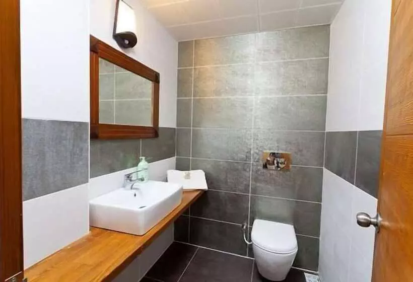 호텔 Turunç Dream