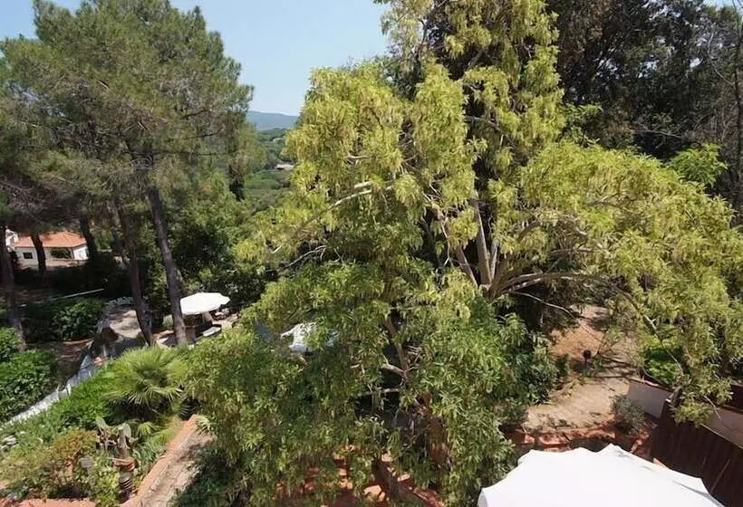 فندق Valle Verde