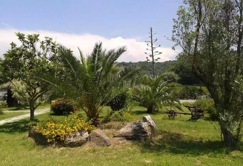 Il Casale Delle Arance