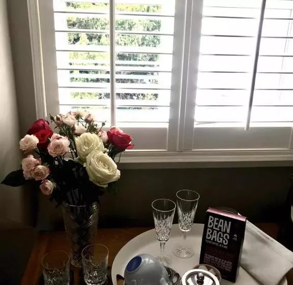 تختخواب و صبحانه College View