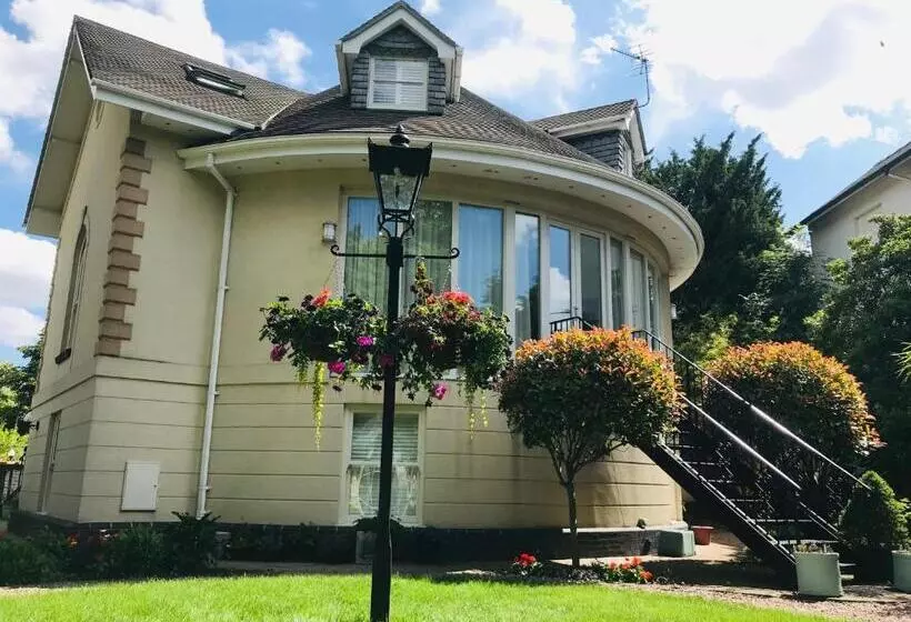 تختخواب و صبحانه College View