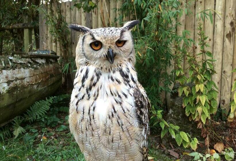 민박 Lower Barns Guest House