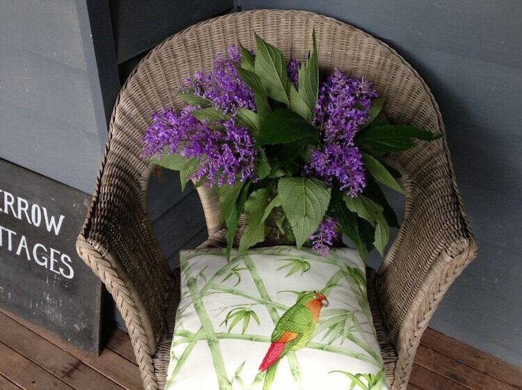 Garden Cottage At Fern Falls Cottages