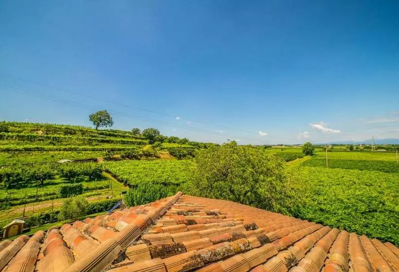 Hotelli Agriturismo Corte Albarel