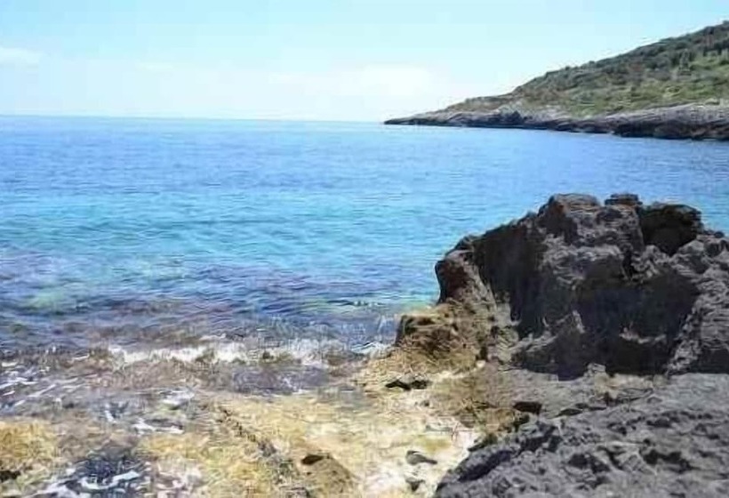 Mirto Sopra Casa In Pietra Sul Mare