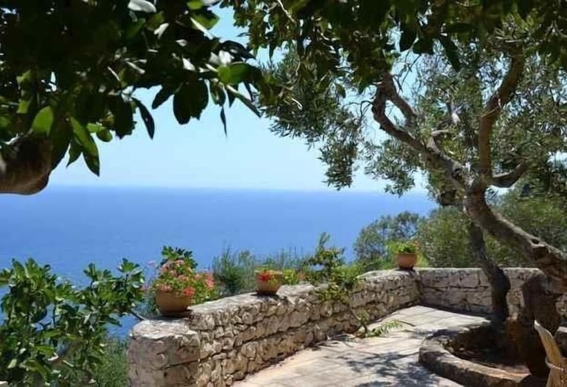 Mirto Sopra Casa In Pietra Sul Mare