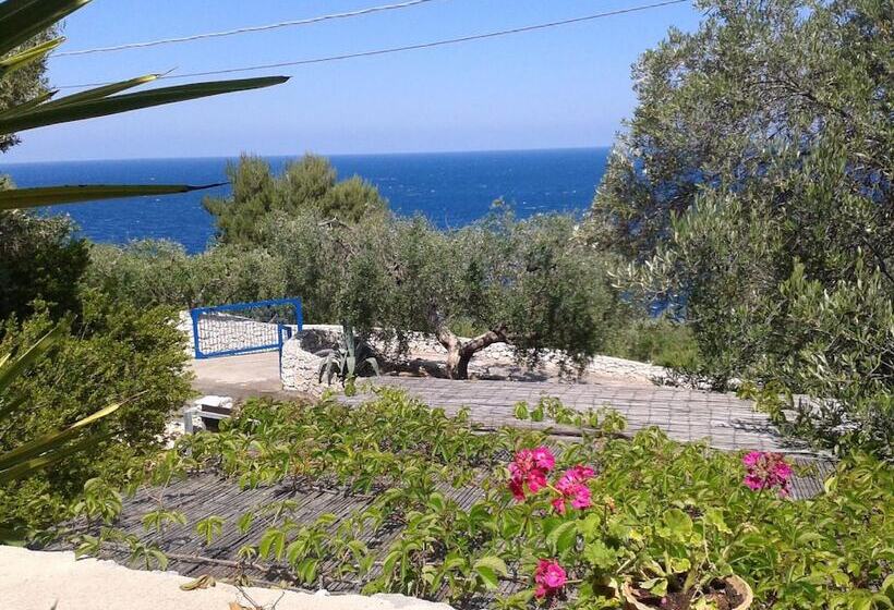 Mirto Sopra Casa In Pietra Sul Mare