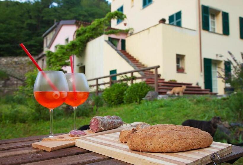 بنسيون Cà Di Gatti Guesthouse