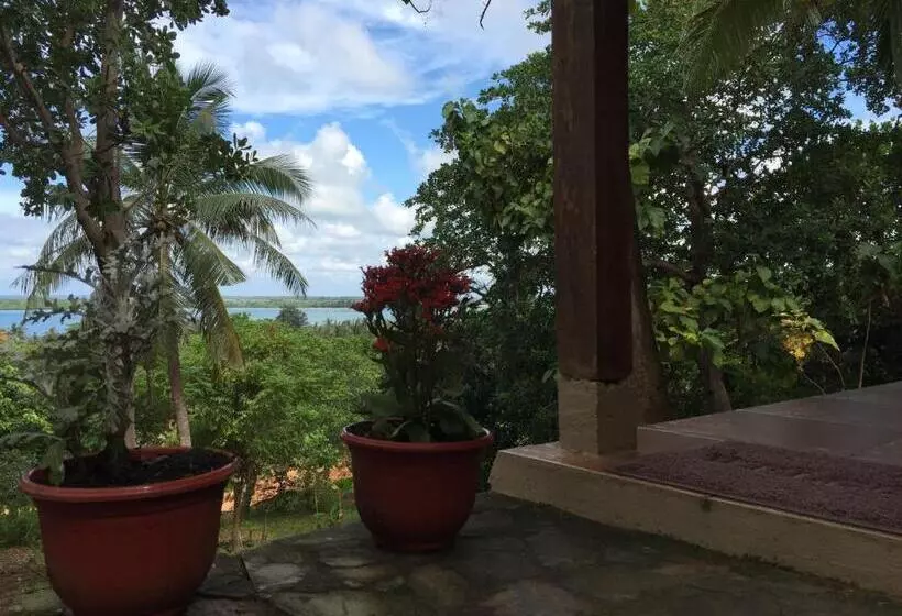 Pension Cocohuts