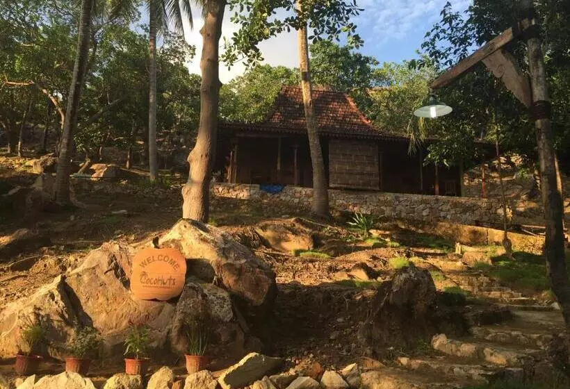 Pension Cocohuts
