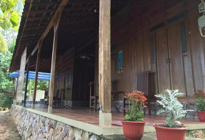 Pension Cocohuts
