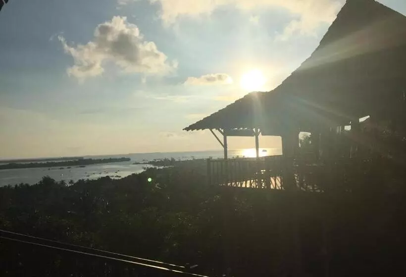 Pension Cocohuts