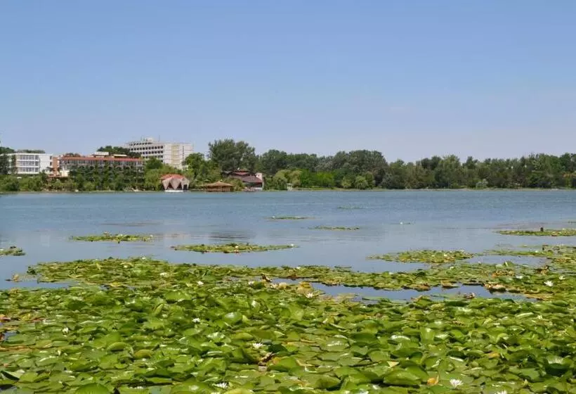 Pensión Complex Amazon