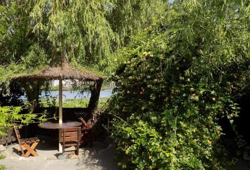 Pensión Complex Amazon