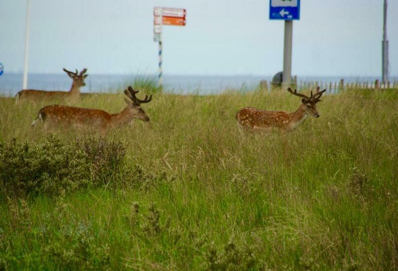 פנסיון Odyssee