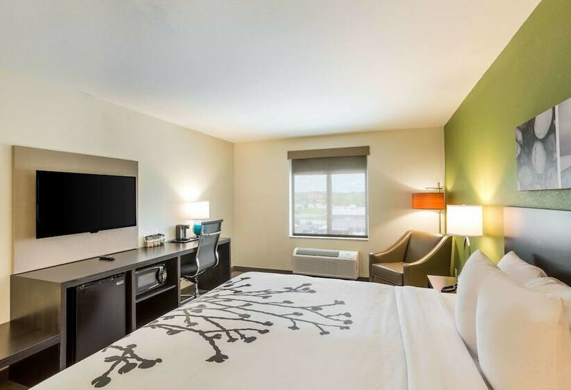 בית מלון כפרי Sleep Inn Logan Ohio Hocking Hills