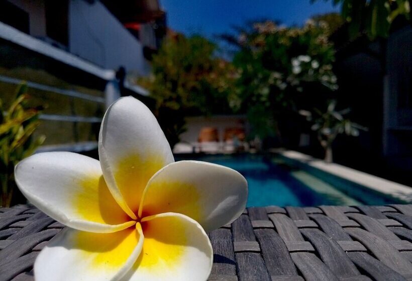 צימר Villa Phyphy 3