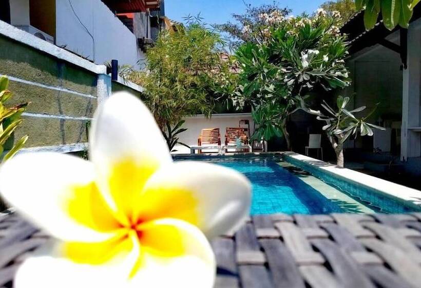 צימר Villa Phyphy 3