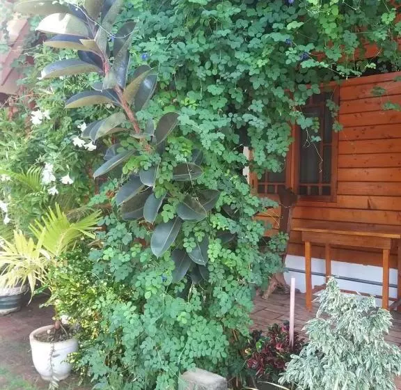 ホテル Dot Bey Beach Cabana