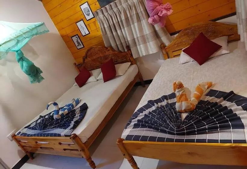 ホテル Dot Bey Beach Cabana