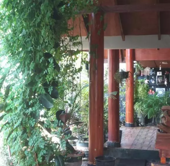 ホテル Dot Bey Beach Cabana